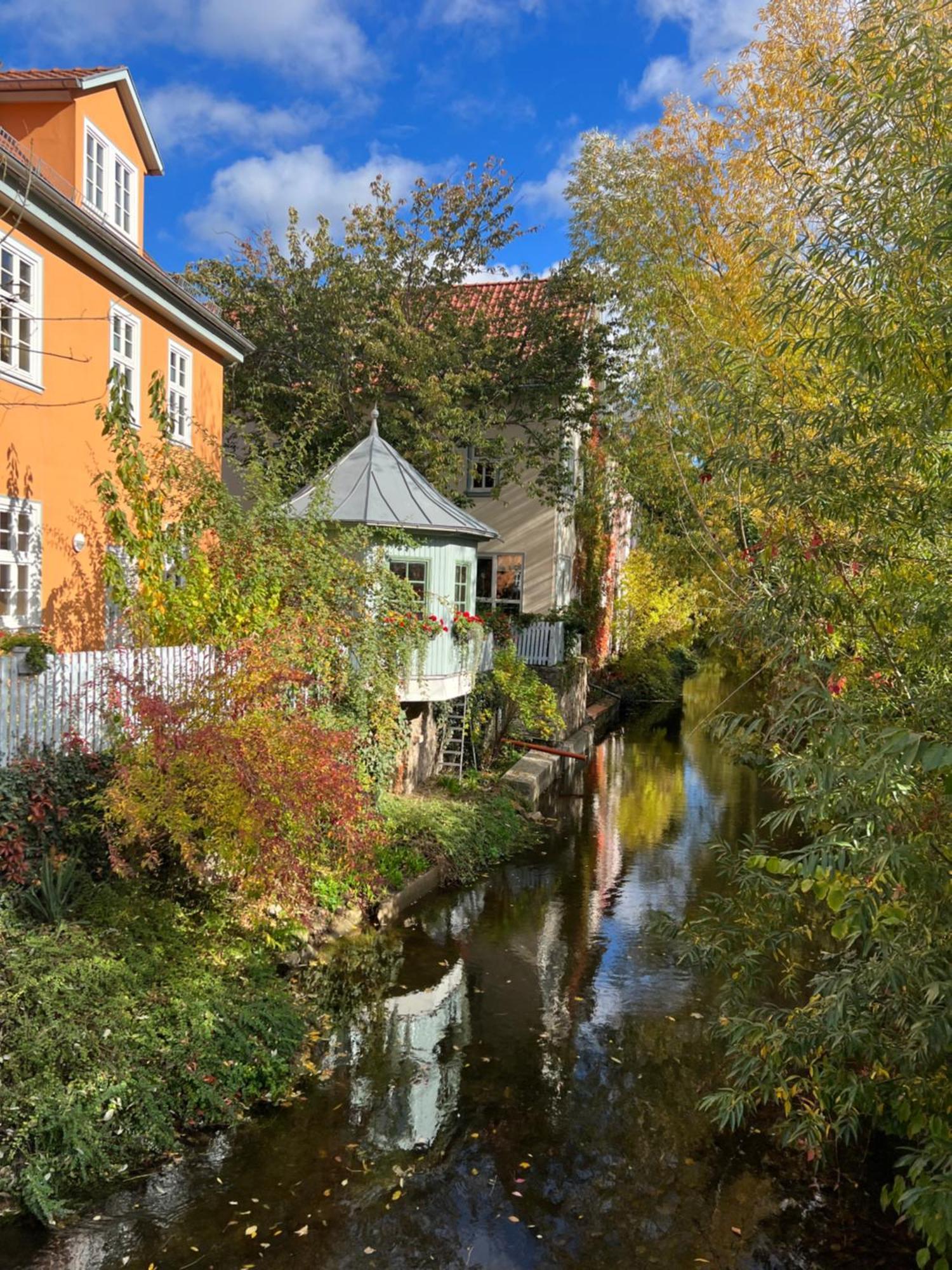 Ferienwohnung Schildblick Modernes Apartment Direkt In Der Altstadt Von Erfurt Nahe Der Kraemerbruecke - Beste Innenstadtlage Exterior foto